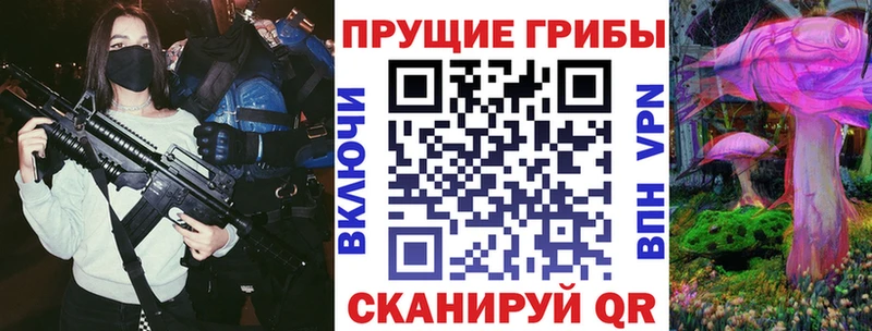 omg вход  Кимры  Псилоцибиновые грибы GOLDEN TEACHER 